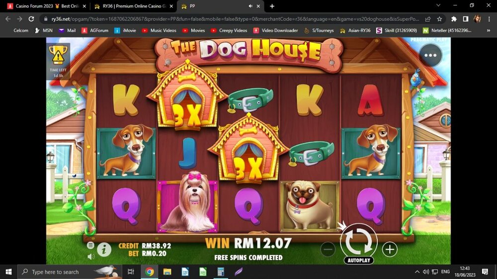 TheDogHouse60x.jpg