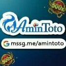 amintoto