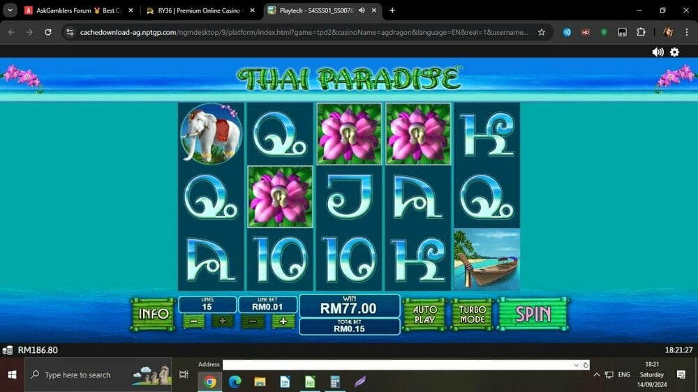 ThaiParadise513-3x.jpg