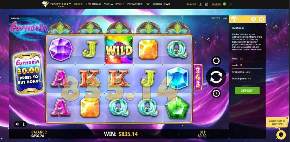 euphoria-slot-winning-screenshot-euphoria2.jpeg