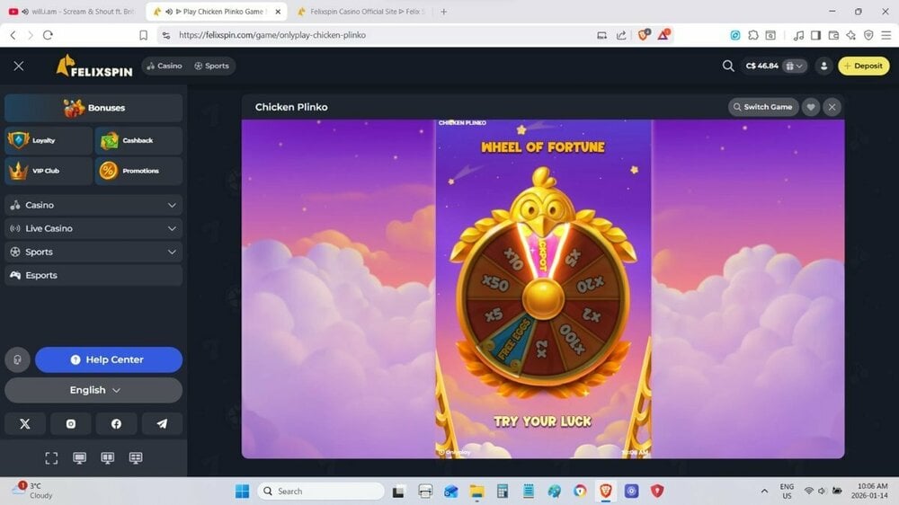 Chicken Plinko 348x Jan 14 2026.jpg