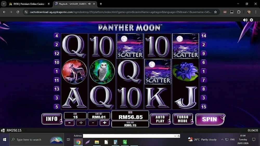 PantherMoon379x.jpg