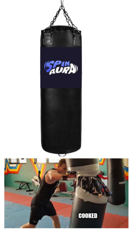spinaurapunchingbag11.thumb.png.04159beb25220462cf2fa14bae33b61f.png