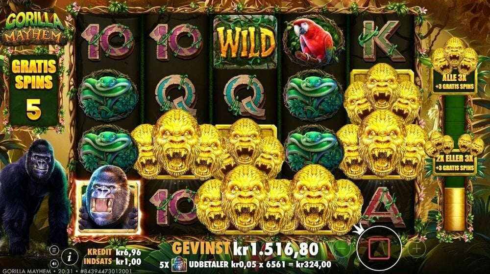 Gorilla Mayhem 1536 x hit.jpg