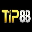 tip88vnonline